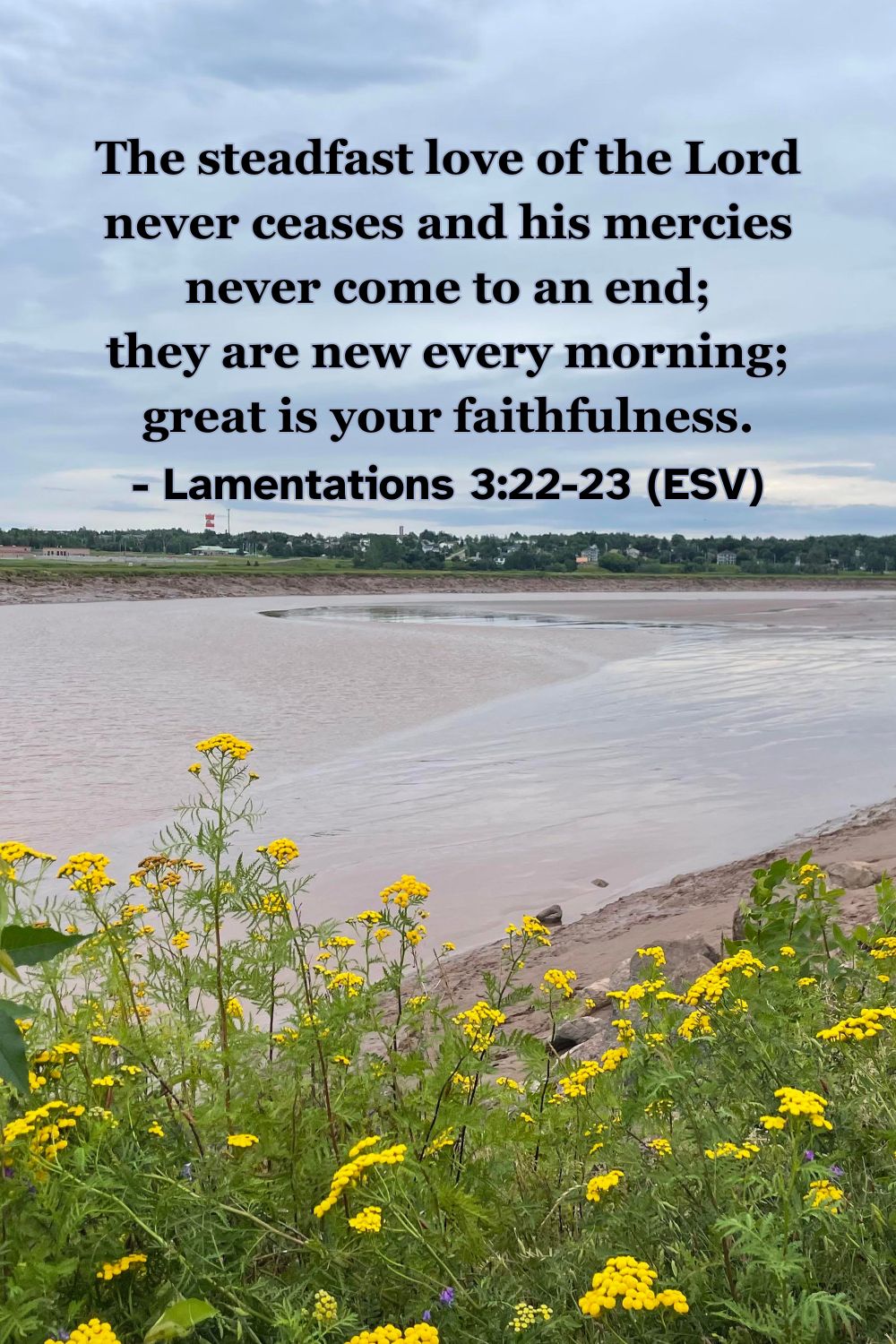 This Bible verse image features Lamentations 3:22-23 (ESV): “The steadfast love of the Lord never ceases and his mercies never come to an end; they are new every morning; great is your faithfulness.” A reminder of God's fresh mercy each day.