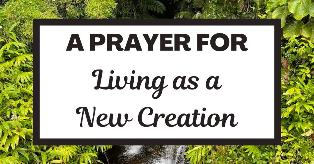 A Prayer for Living as a New&nbsp;Creation