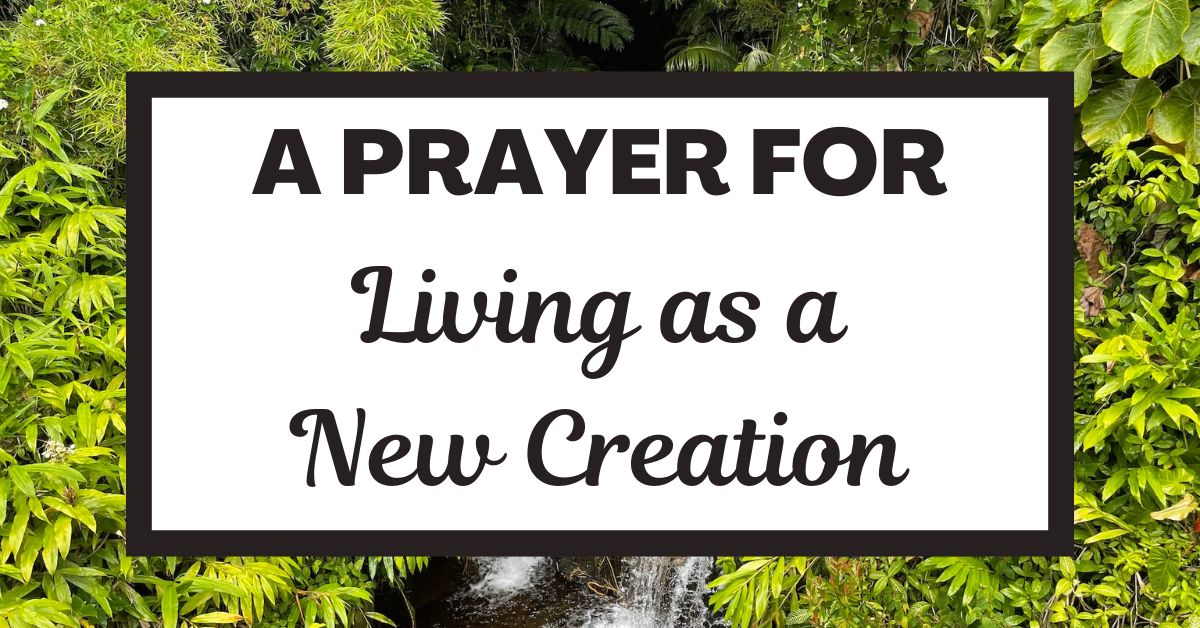 A Prayer for Living as a New&nbsp;Creation