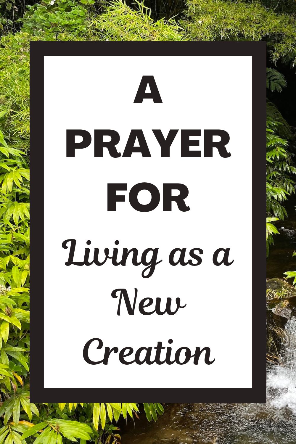 A Prayer for Living as a New Creation
