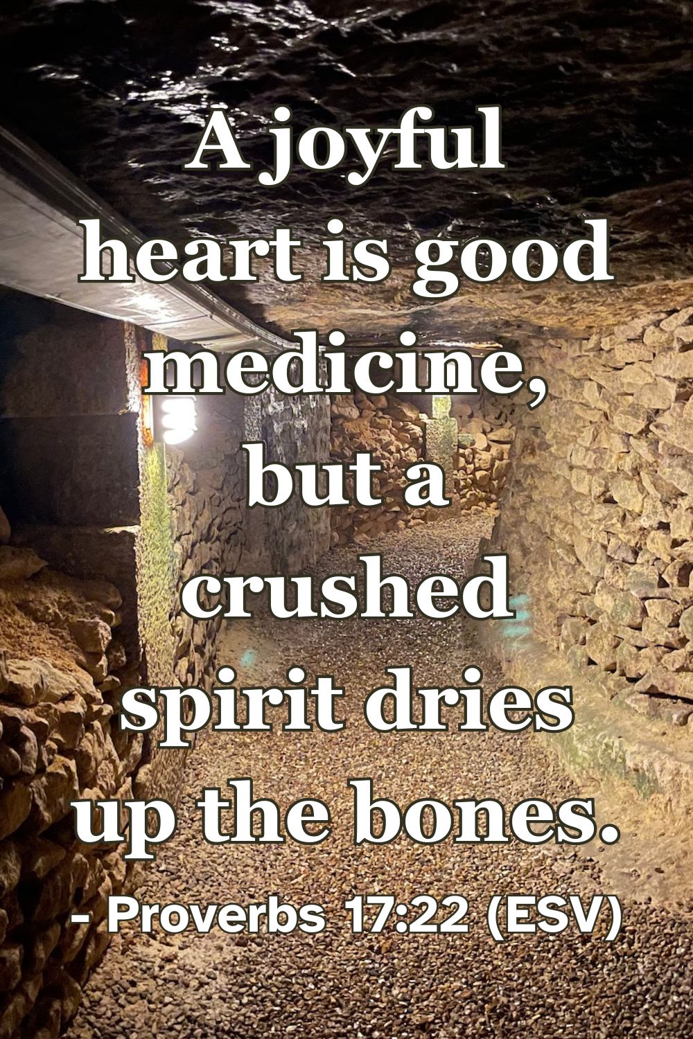 Proverbs 17:22 (ESV): A joyful heart is good medicine, but a crushed spirit dries up the bones.