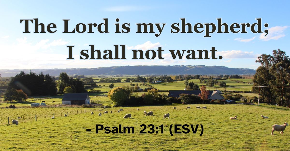 Psalm 23:1 (ESV): The Lord is my shepherd; I shall not want.