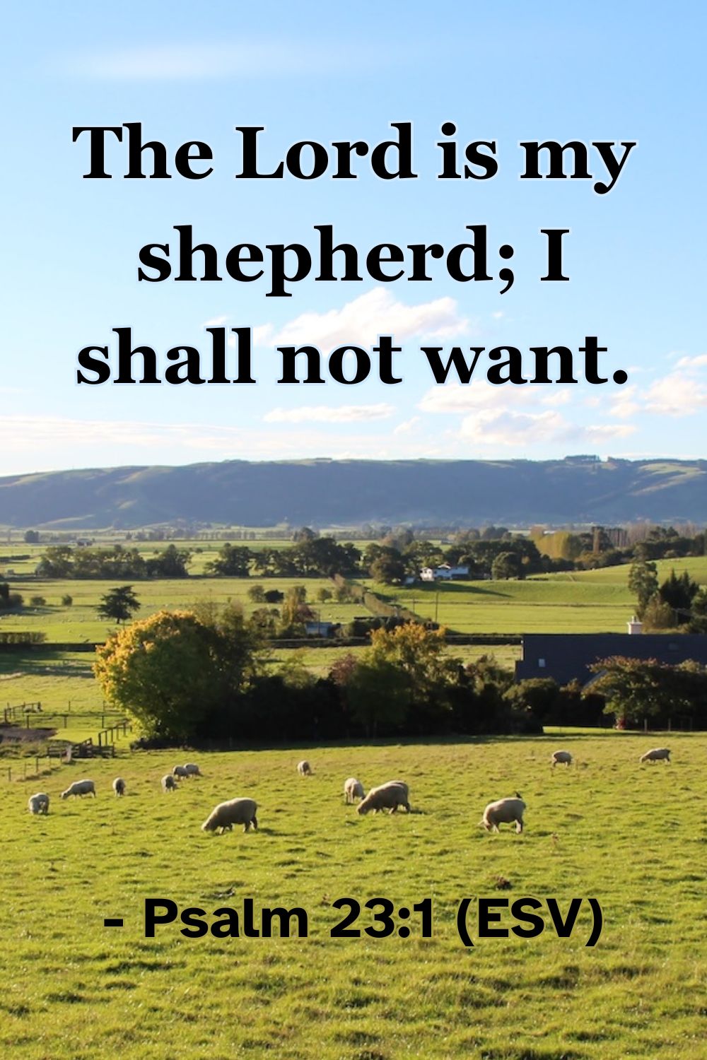 Psalm 23:1 (ESV): The Lord is my shepherd; I shall not want.