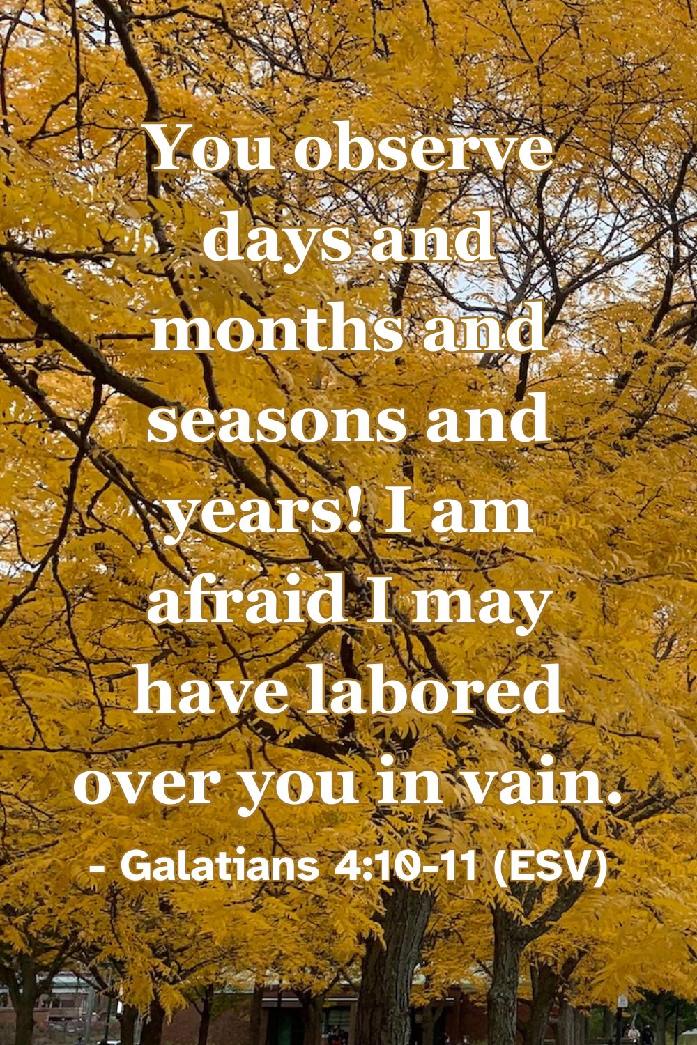 You observe days and months and seasons and years! I am afraid I may have labored over you in vain. – Galatians 4:10-11 (ESV)