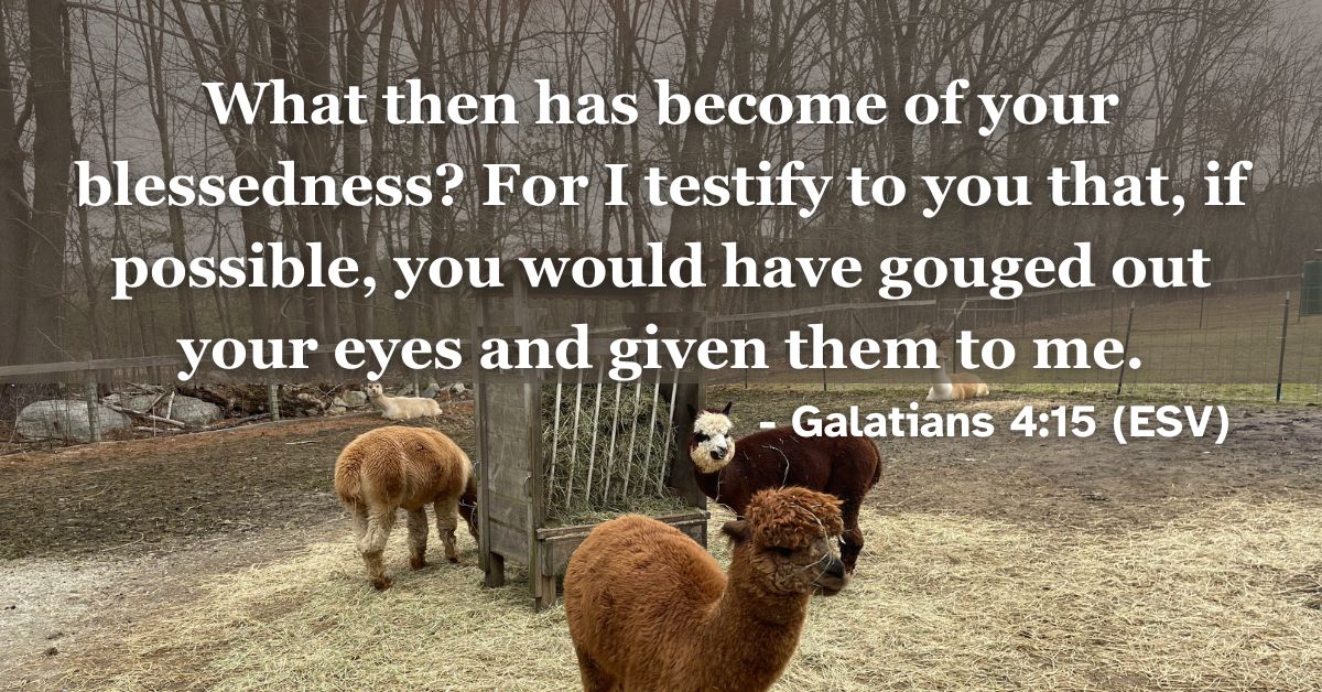What then has become of your blessedness? For I testify to you that, if possible, you would have gouged out your eyes and given them to me. – Galatians 4:15 (ESV)