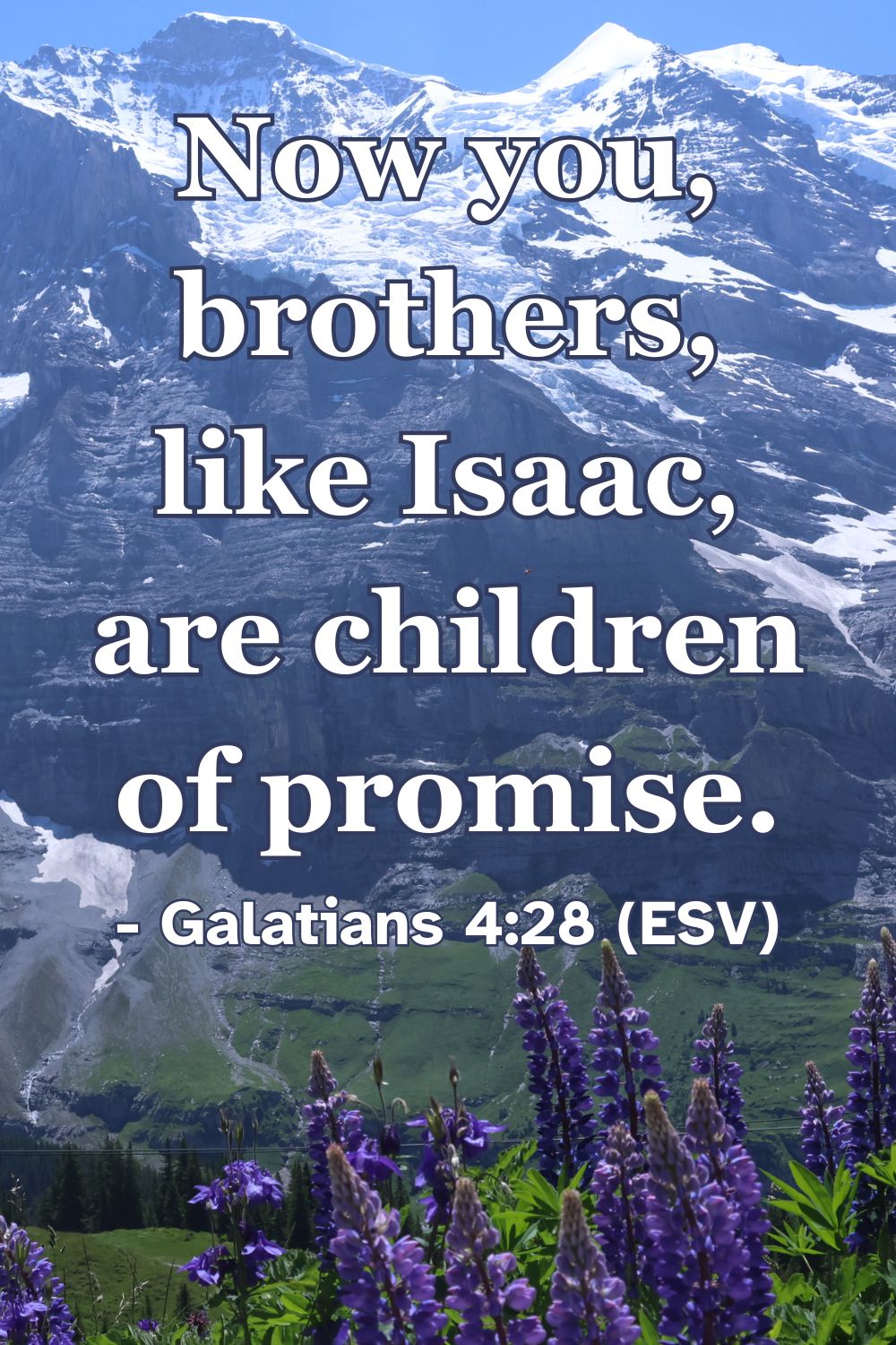 Now you, brothers, like Isaac, are children of promise. – Galatians 4:28 (ESV)