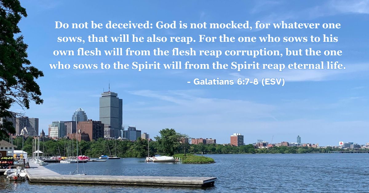 Do not be deceived: God is not mocked, for whatever one sows, that will he also reap. For the one who sows to his own flesh will from the flesh reap corruption, but the one who sows to the Spirit will from the Spirit reap eternal life. – Galatians 6:7-8 (ESV)