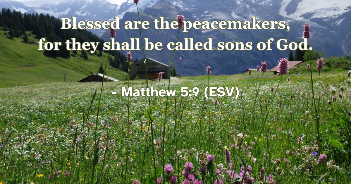 Matthew 5:9 (ESV): Blessed are the peacemakers, for they shall be called sons of God.