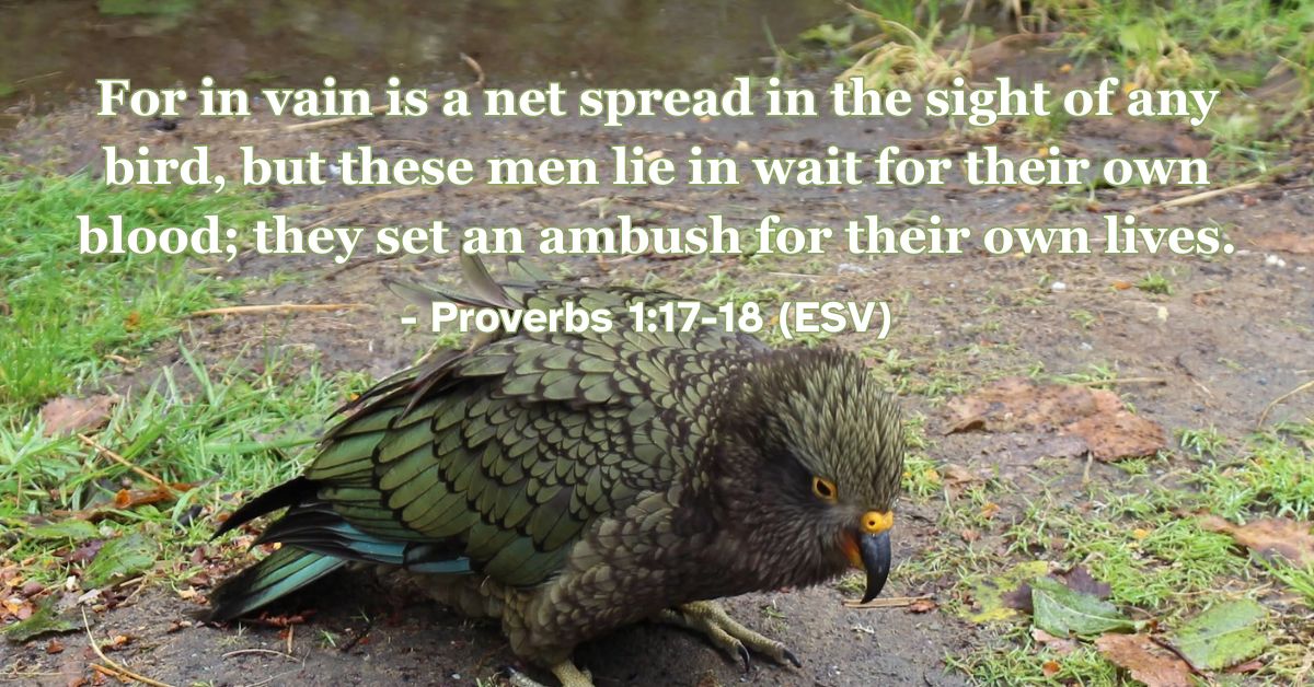 Proverbs 1:17-18 (ESV): For in vain is a net spread in the sight of any bird, but these men lie in wait for their own blood; they set an ambush for their own lives.