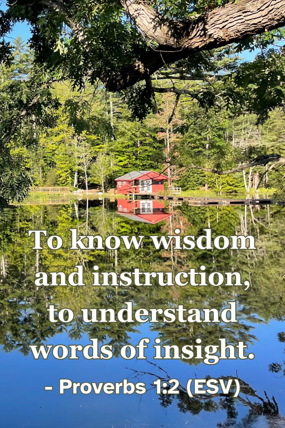Proverbs 1:2 (ESV): To know wisdom and instruction, to understand words of insight.