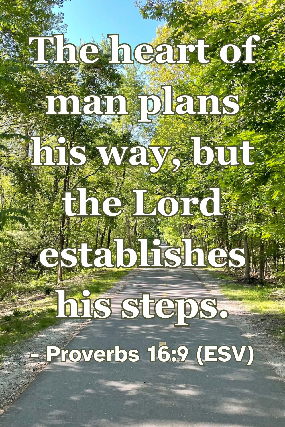 Proverbs 16:9 (ESV): The heart of man plans his way, but the Lord establishes his steps.