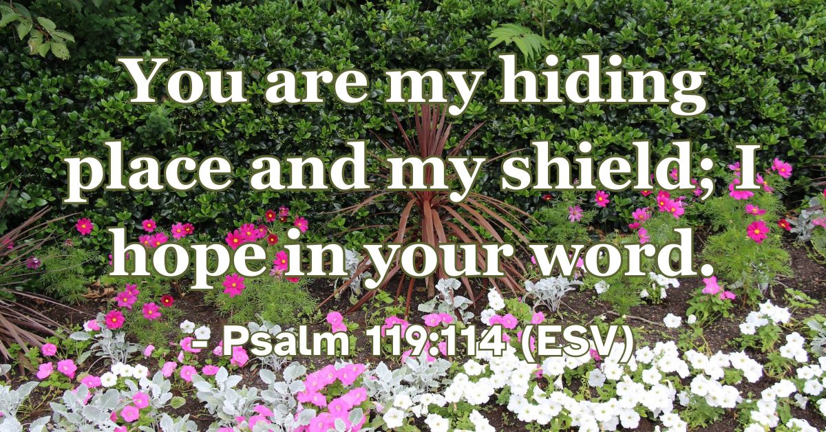 Psalm 119:114 (ESV): You are my hiding place and my shield; I hope in your word.
