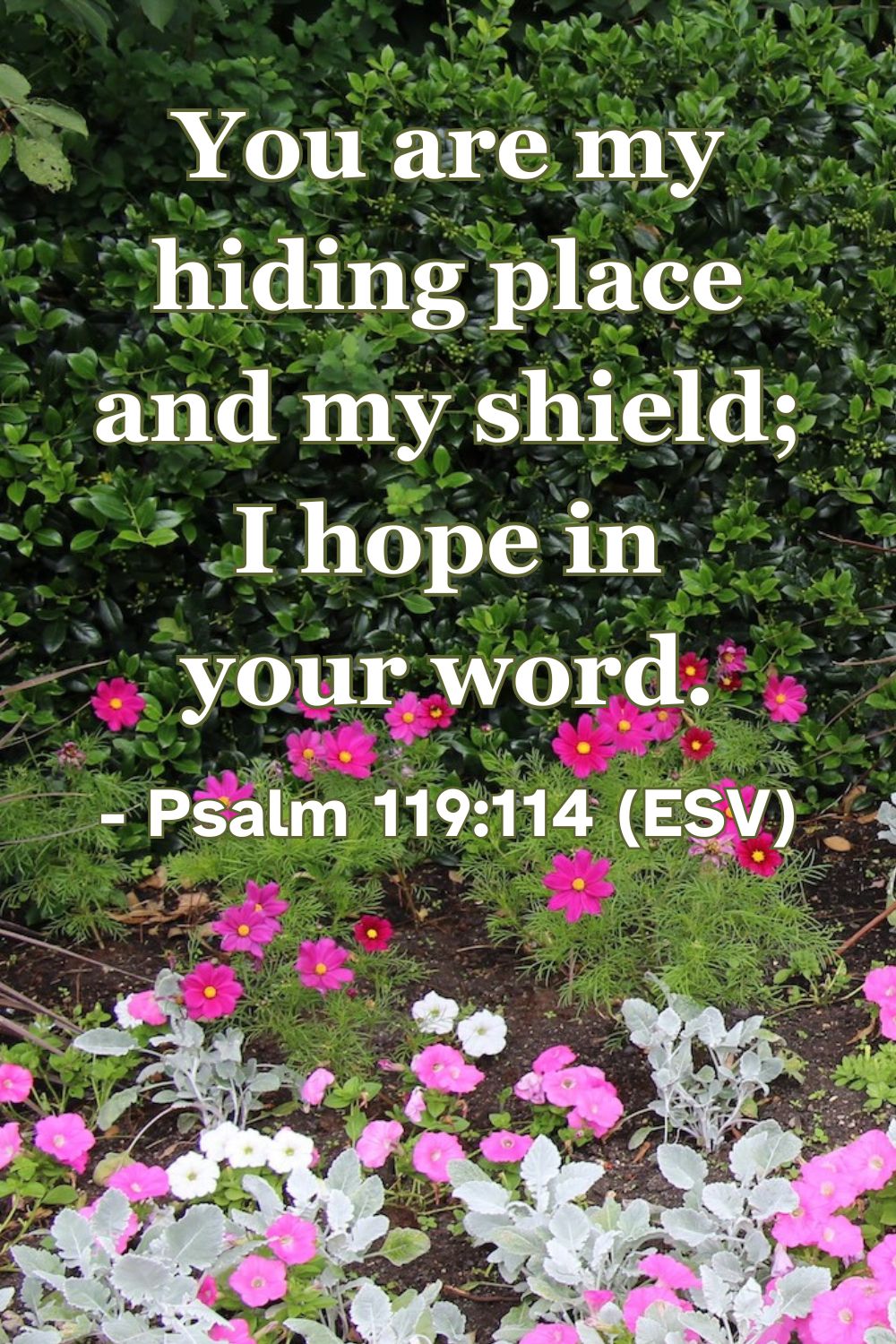 Psalm 119:114 (ESV): You are my hiding place and my shield; I hope in your word.
