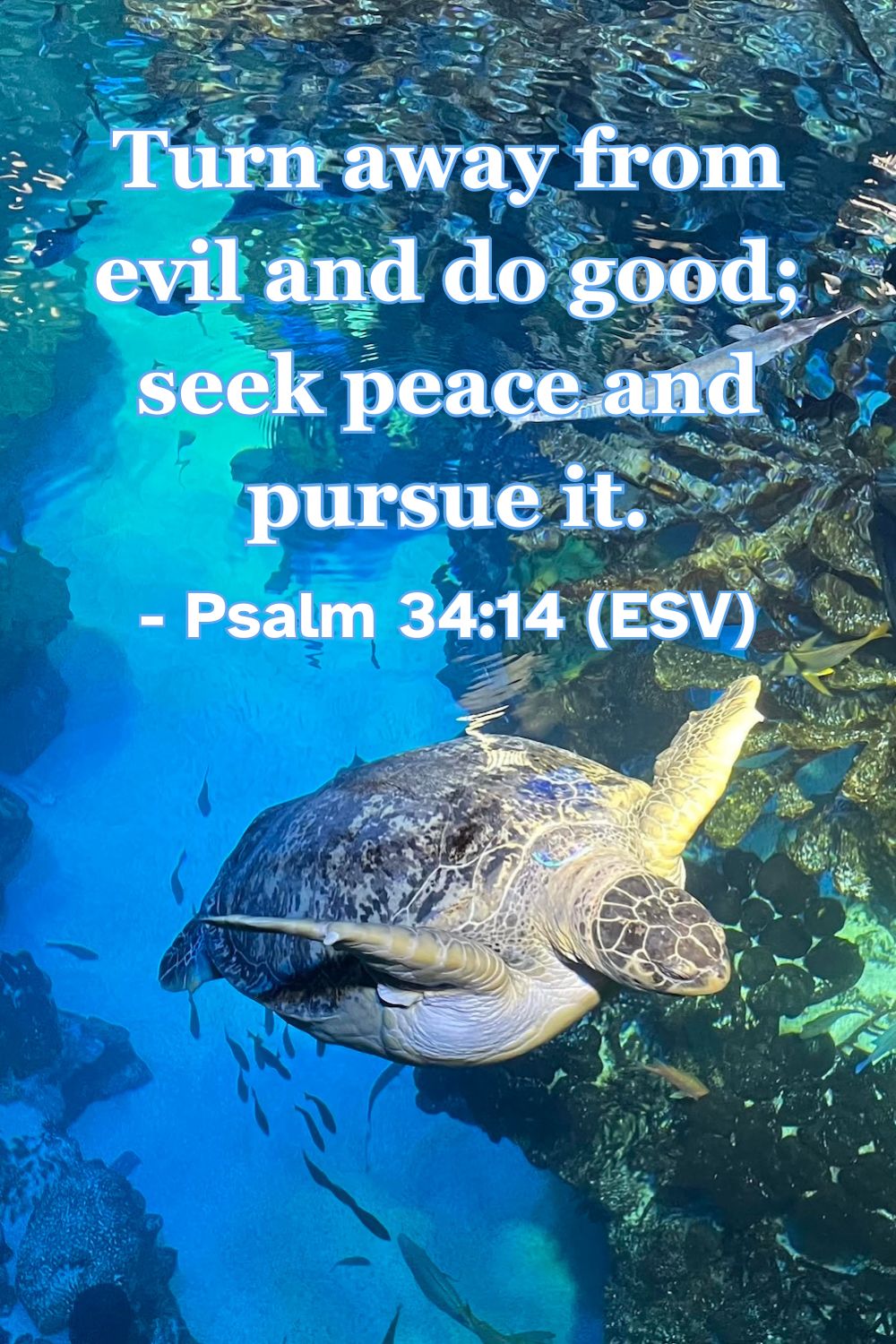 Psalm 34:14 (ESV): Turn away from evil and do good; seek peace and pursue it.