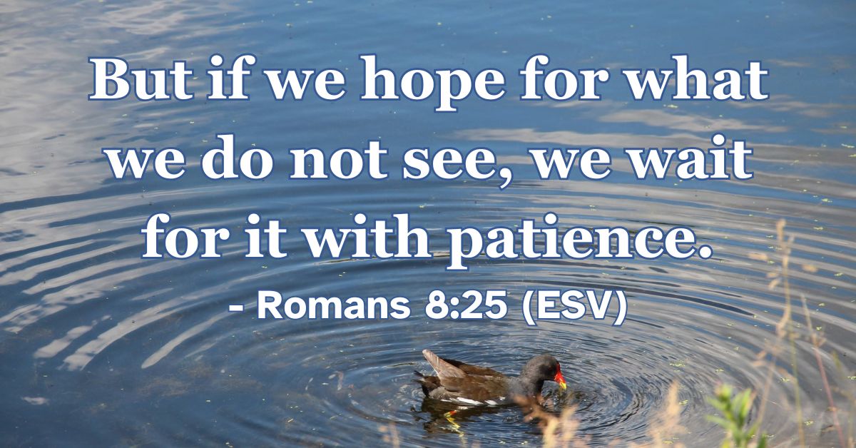 Romans 8:25 (ESV): But if we hope for what we do not see, we wait for it with patience.