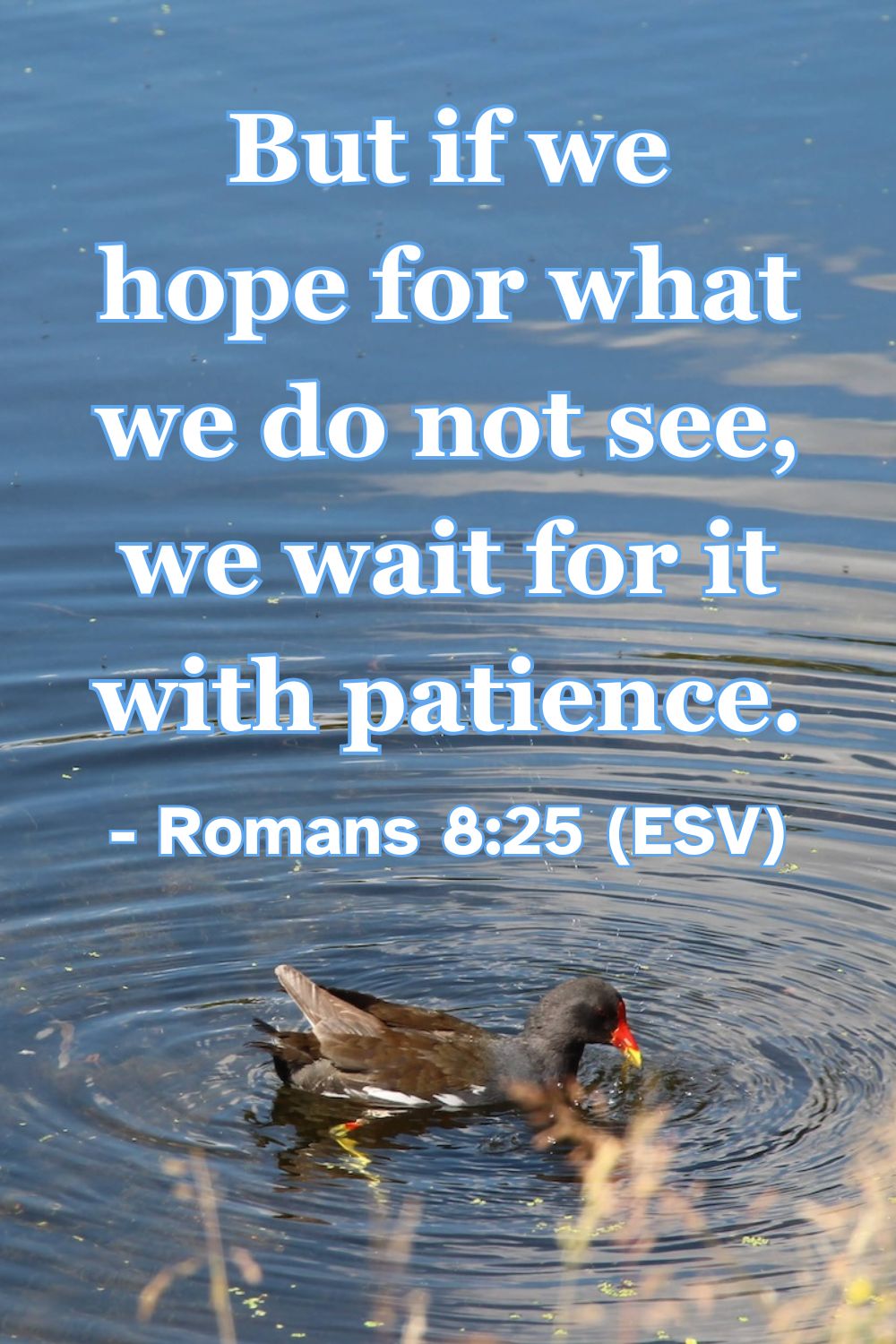 Romans 8:25 (ESV): But if we hope for what we do not see, we wait for it with patience.