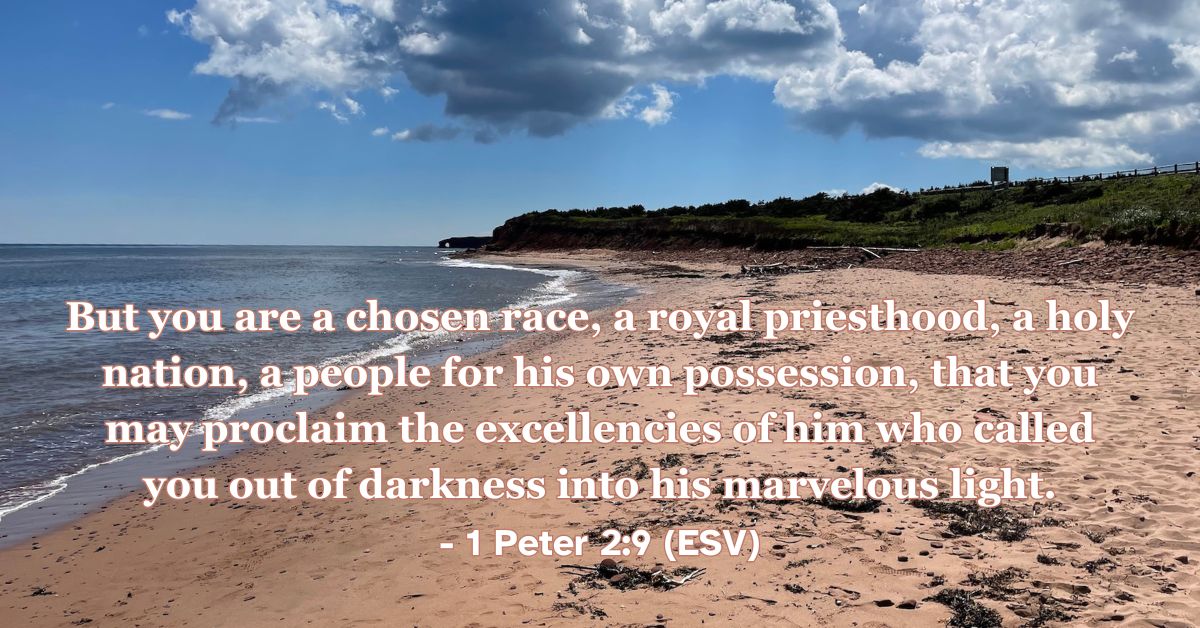 1 Peter 2:9 (ESV): But you are a chosen race, a royal priesthood, a holy nation, a people for his own possession, that you may proclaim the excellencies of him who called you out of darkness into his marvelous light.