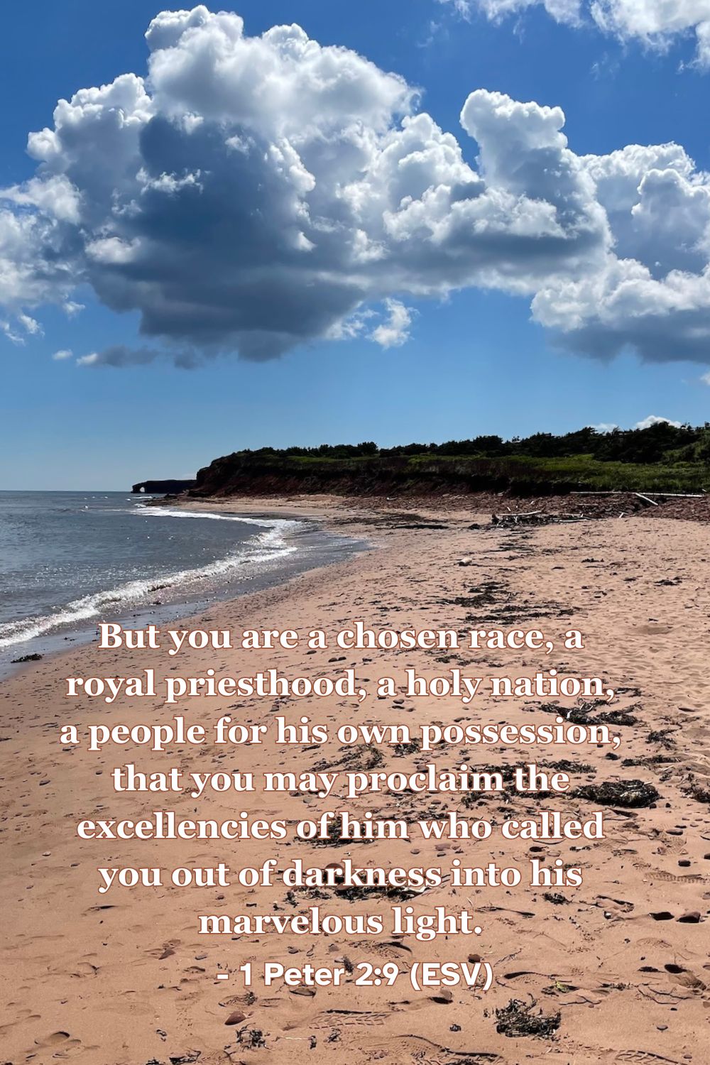 1 Peter 2:9 (ESV): But you are a chosen race, a royal priesthood, a holy nation, a people for his own possession, that you may proclaim the excellencies of him who called you out of darkness into his marvelous light.