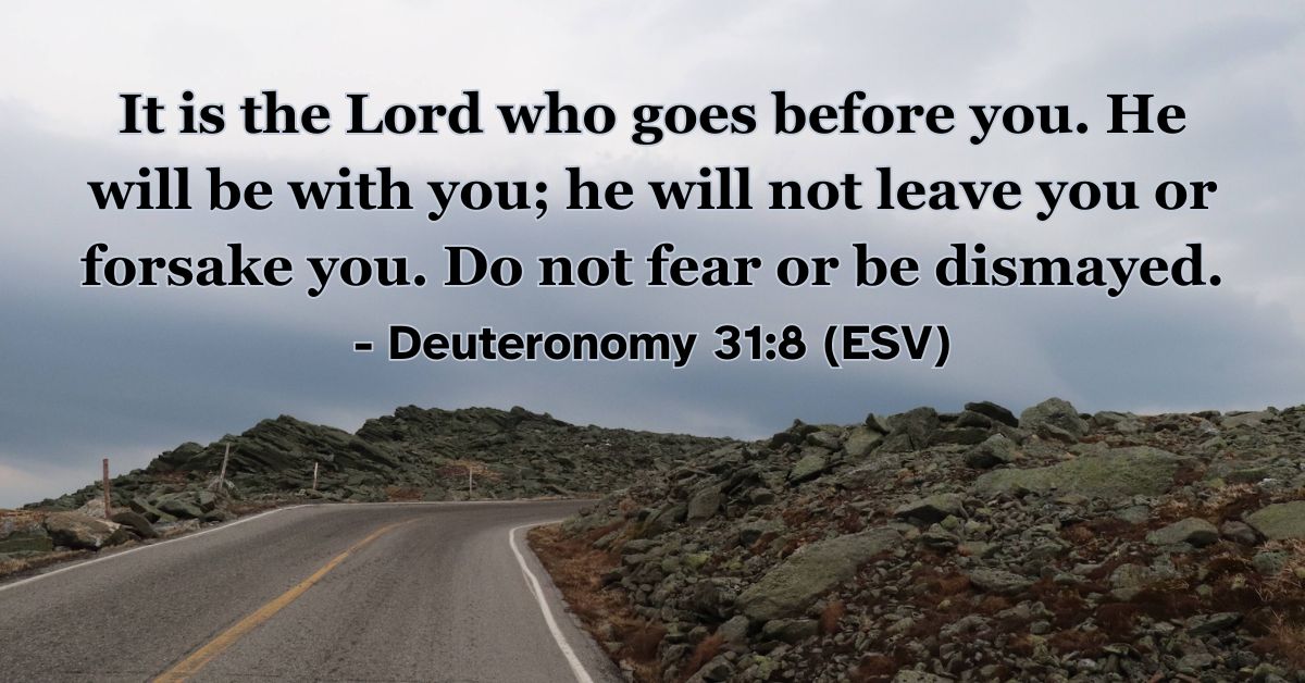 Deuteronomy 31:8 (ESV): It is the Lord who goes before you. He will be with you; he will not leave you or forsake you. Do not fear or be dismayed.