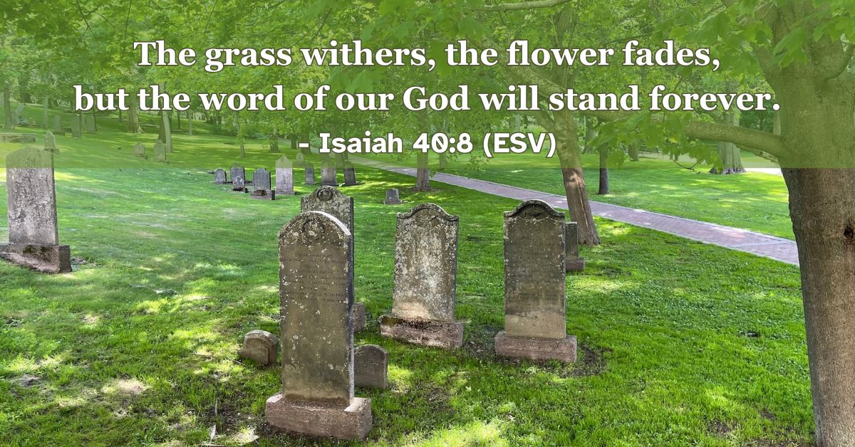Isaiah 40:8 (ESV): The grass withers, the flower fades, but the word of our God will stand forever.