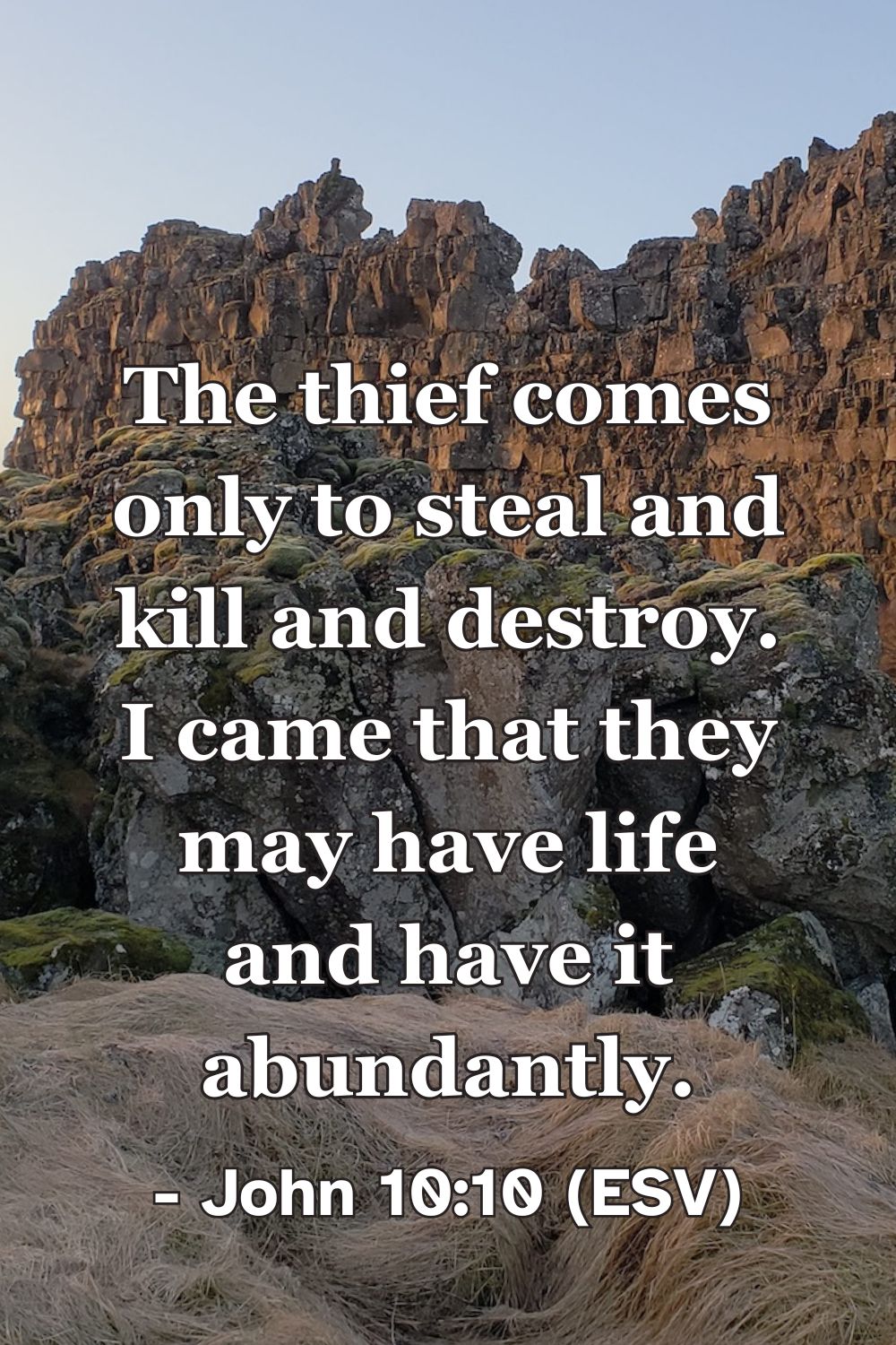 John 10:10 (ESV): The thief comes only to steal and kill and destroy. I came that they may have life and have it abundantly.