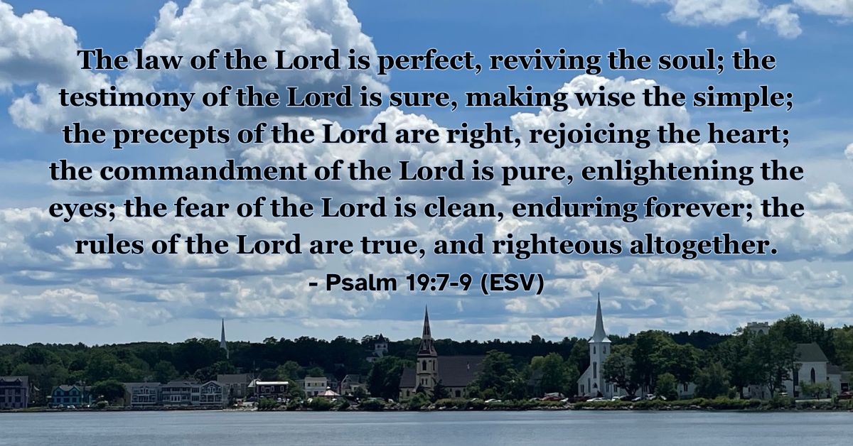 Psalm 19:7-9 (ESV): The law of the Lord is perfect, reviving the soul; the testimony of the Lord is sure, making wise the simple; the precepts of the Lord are right, rejoicing the heart; the commandment of the Lord is pure, enlightening the eyes; the fear of the Lord is clean, enduring forever; the rules of the Lord are true, and righteous altogether.