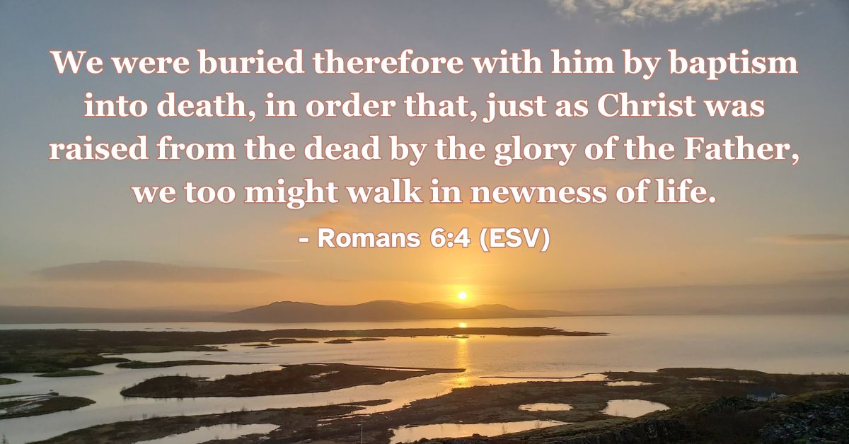 Romans 6:4 (ESV): We were buried therefore with him by baptism into death, in order that, just as Christ was raised from the dead by the glory of the Father, we too might walk in newness of life.