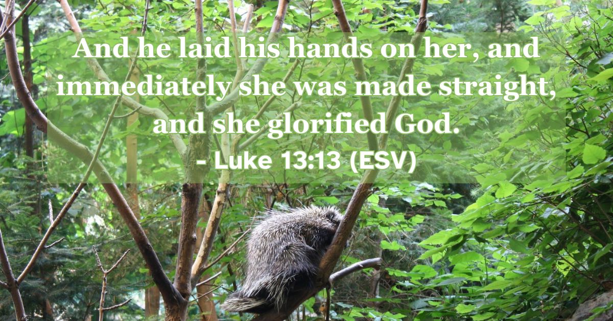 This Bible verse image features Luke 13:13 (ESV): “And he laid his hands on her, and immediately she was made straight, and she glorified God.” A reminder of Jesus’ power to heal, restore, and inspire praise.