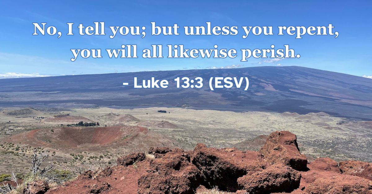 This Bible verse image features Luke 13:3 (ESV): “No, I tell you; but unless you repent, you will all likewise perish.” A reminder of the urgent necessity of repentance and turning toward God.