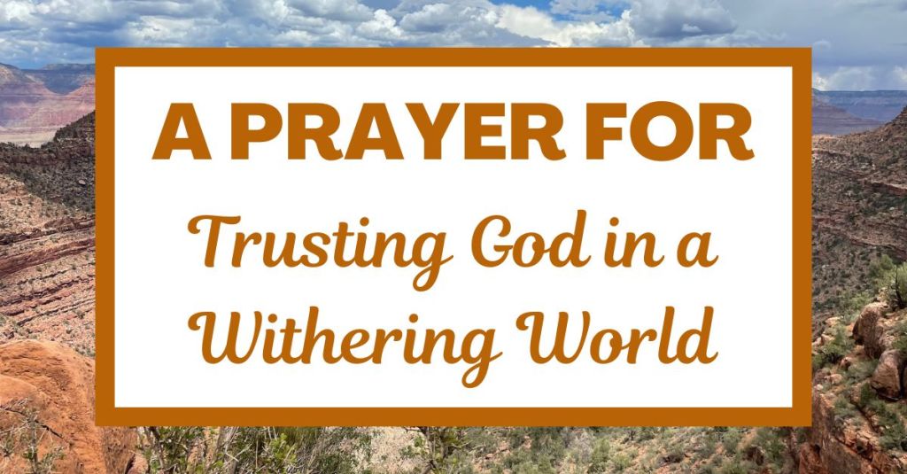 A Prayer for Trusting God in a Withering&nbsp;World
