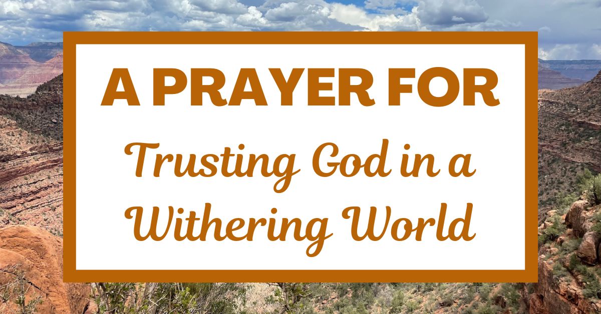 A Prayer for Trusting God in a Withering&nbsp;World