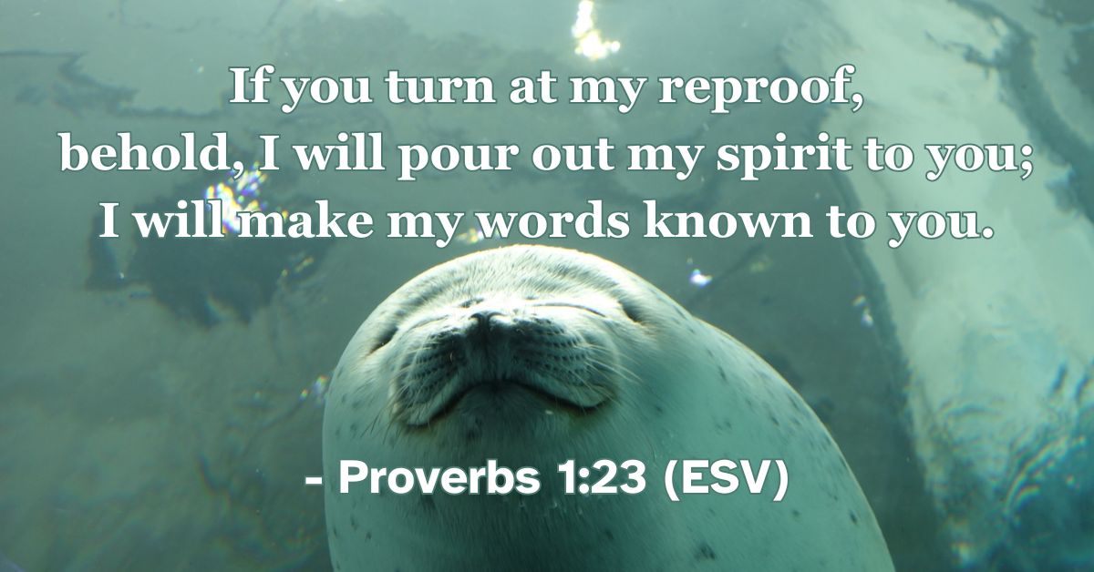 This Bible verse image features Proverbs 1:23 (ESV): “If you turn at my reproof, behold, I will pour out my spirit to you; I will make my words known to you.” A reminder of the blessing and clarity that comes from responding to wisdom’s correction.