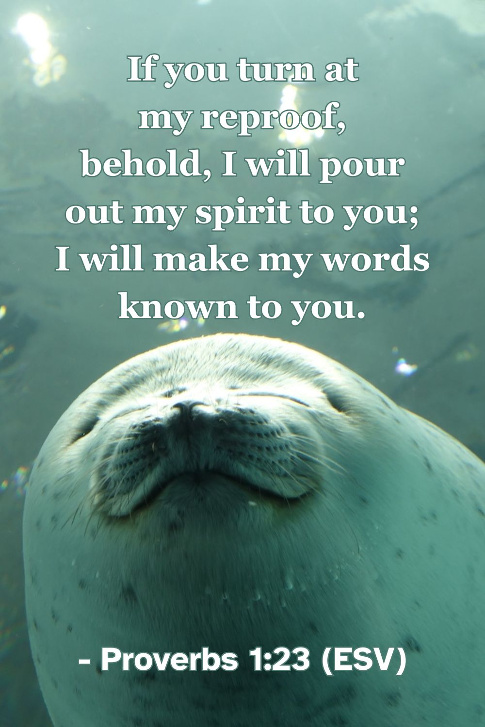 This Bible verse image features Proverbs 1:23 (ESV): “If you turn at my reproof, behold, I will pour out my spirit to you; I will make my words known to you.” A reminder of the blessing and clarity that comes from responding to wisdom’s correction.
