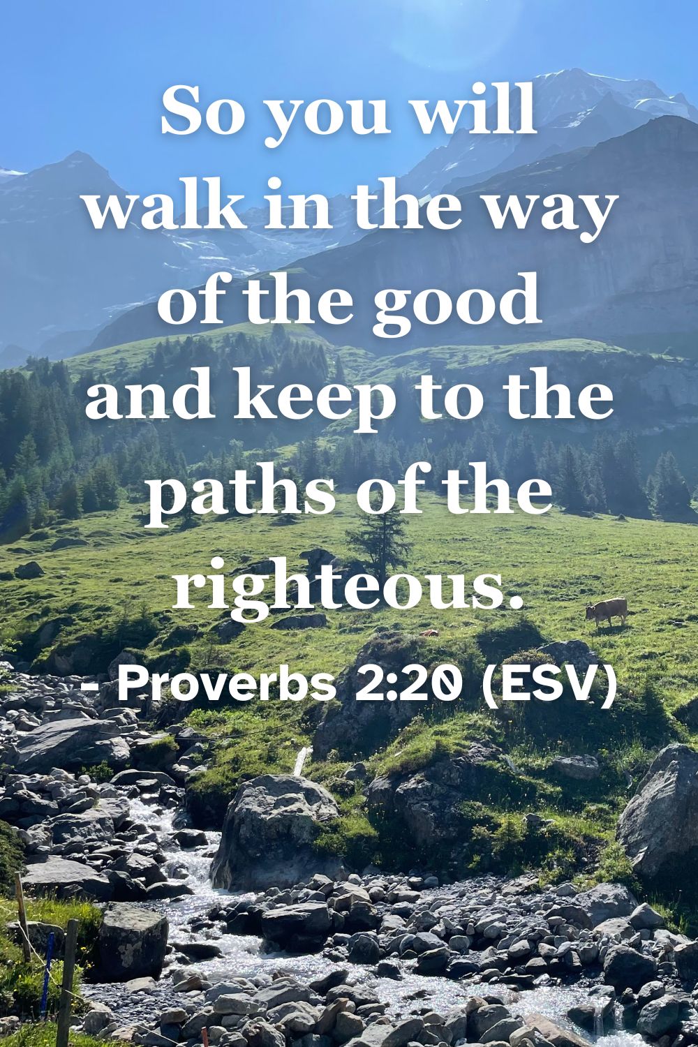 This Bible verse image features Proverbs 2:20 (ESV): “So you will walk in the way of the good and keep to the paths of the righteous.” A reminder to stay on the path of goodness and integrity.
