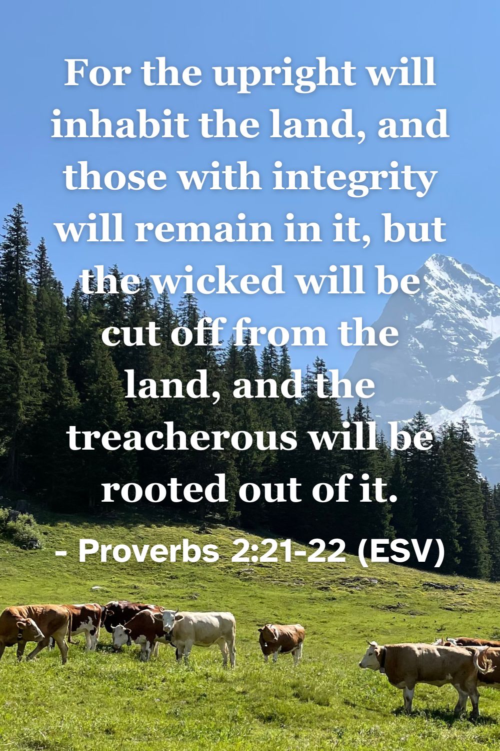This Bible verse image features Proverbs 2:21-22 (ESV): “For the upright will inhabit the land, and those with integrity will remain in it, but the wicked will be cut off from the land, and the treacherous will be rooted out of it.” A reminder of the security found in integrity and the ultimate justice of God.