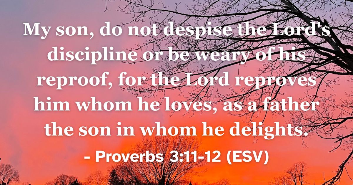 This Bible verse image features Proverbs 3:11-12 (ESV): “My son, do not despise the Lord's discipline or be weary of his reproof, for the Lord reproves him whom he loves, as a father the son in whom he delights.” A reminder that God's discipline is a sign of his fatherly love and delight.