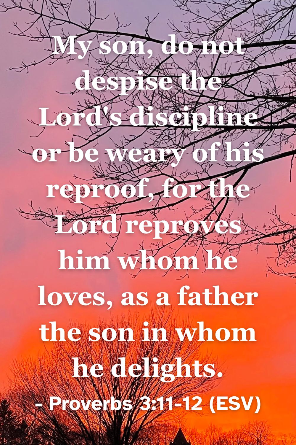 This Bible verse image features Proverbs 3:11-12 (ESV): “My son, do not despise the Lord's discipline or be weary of his reproof, for the Lord reproves him whom he loves, as a father the son in whom he delights.” A reminder that God's discipline is a sign of his fatherly love and delight.