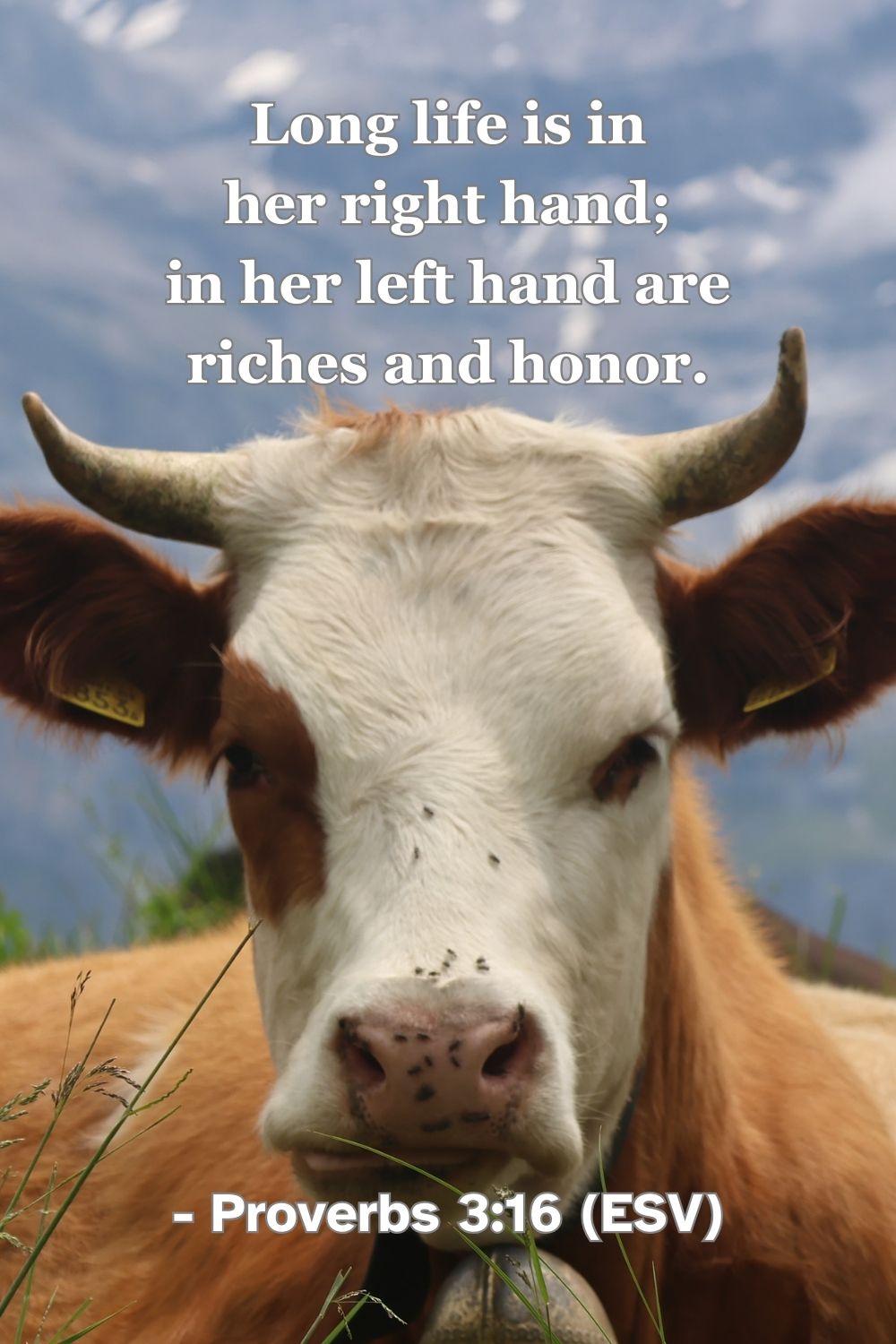 This Bible verse image features Proverbs 3:16 (ESV): “Long life is in her right hand; in her left hand are riches and honor.” A reminder of the blessings and honor that accompany a life of wisdom.