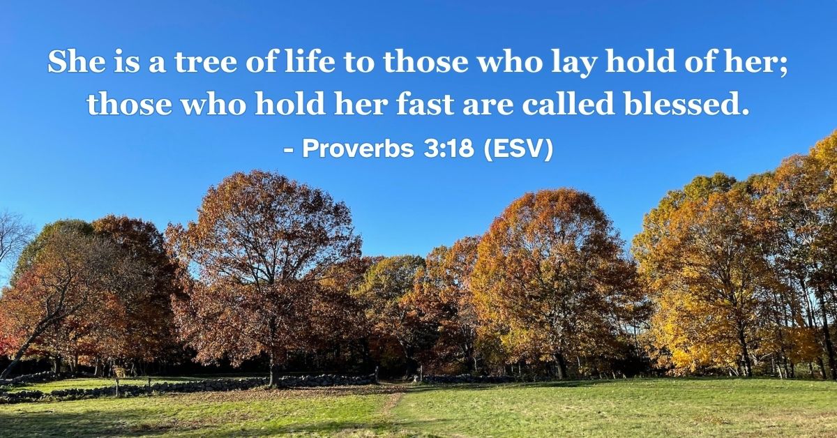 This Bible verse image features Proverbs 3:18 (ESV): “She is a tree of life to those who lay hold of her; those who hold her fast are called blessed.” A reminder of the life-giving power and blessing of holding onto wisdom.
