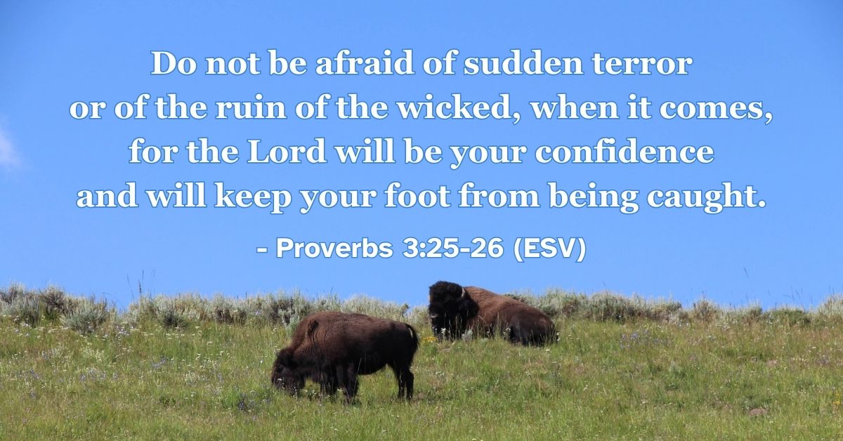 This Bible verse image features Proverbs 3:25-26 (ESV): “Do not be afraid of sudden terror or of the ruin of the wicked, when it comes, for the Lord will be your confidence and will keep your foot from being caught.” A reminder of the confidence and safety found in trusting the Lord.