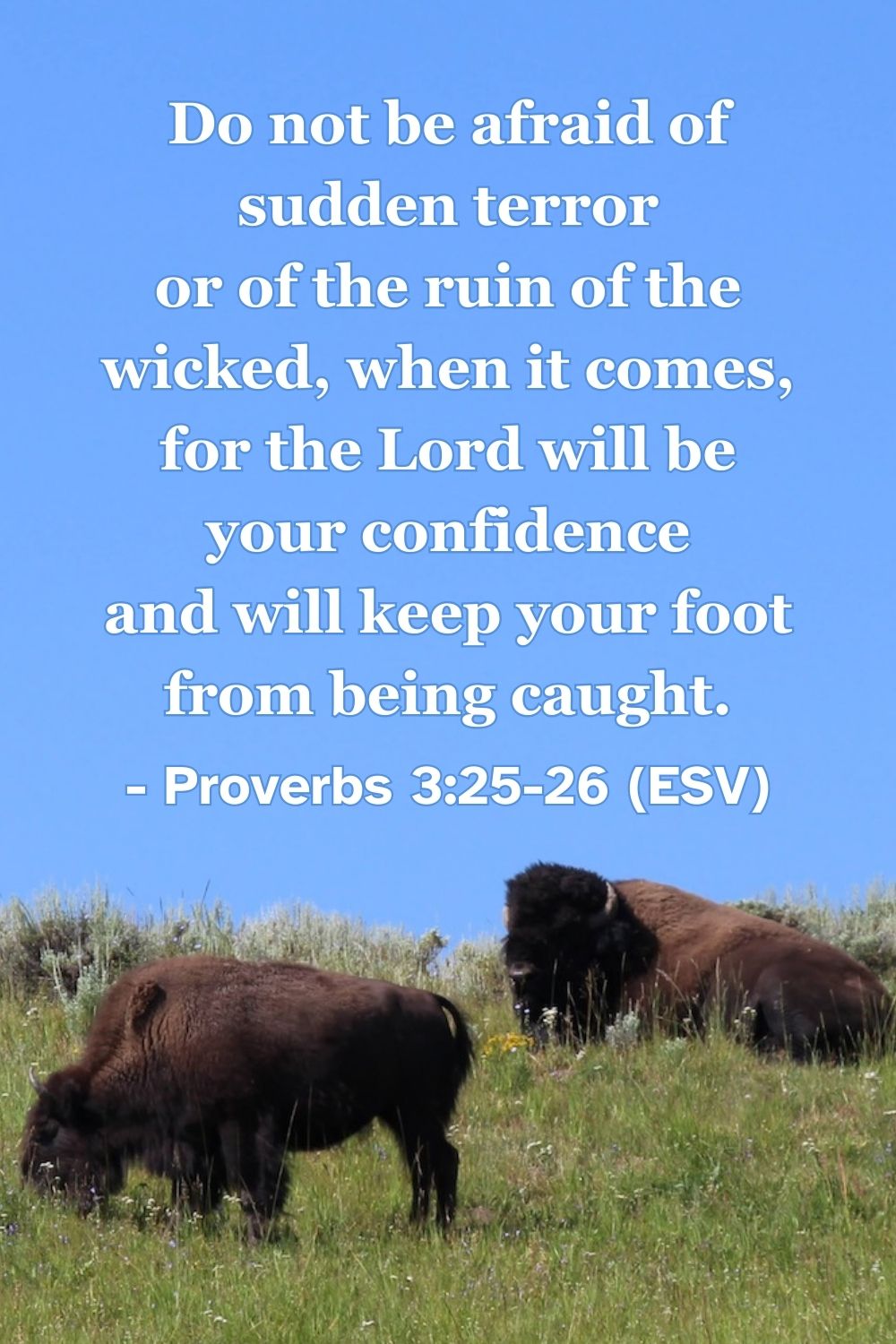 This Bible verse image features Proverbs 3:25-26 (ESV): “Do not be afraid of sudden terror or of the ruin of the wicked, when it comes, for the Lord will be your confidence and will keep your foot from being caught.” A reminder of the confidence and safety found in trusting the Lord.