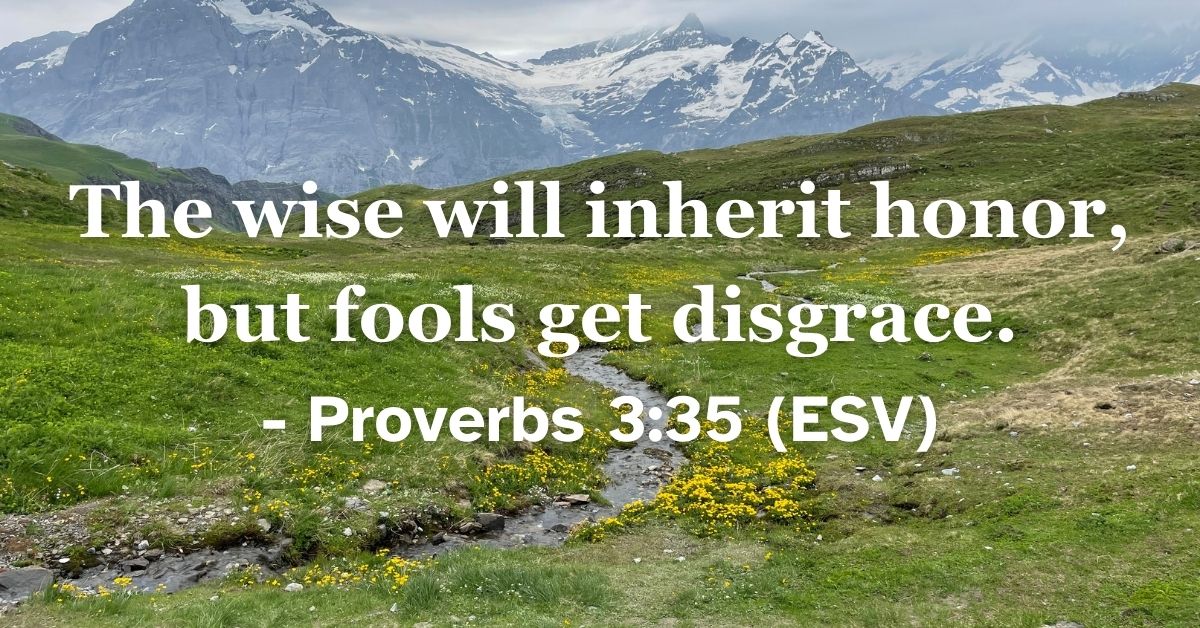 This Bible verse image features Proverbs 3:35 (ESV): “The wise will inherit honor, but fools get disgrace.” A reminder of the lasting honor that comes to those who choose wisdom.