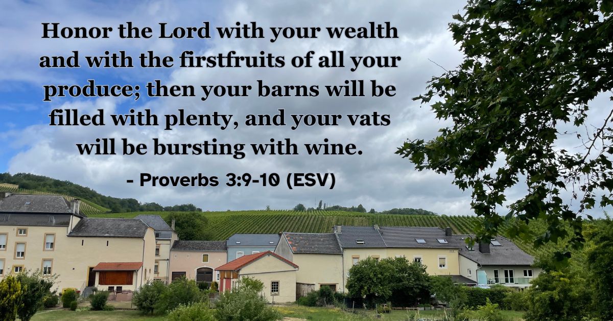 This Bible verse image features Proverbs 3:9-10 (ESV): “Honor the Lord with your wealth and with the firstfruits of all your produce; then your barns will be filled with plenty, and your vats will be bursting with wine.” A reminder of honoring God through faithful stewardship and trusting his provision.