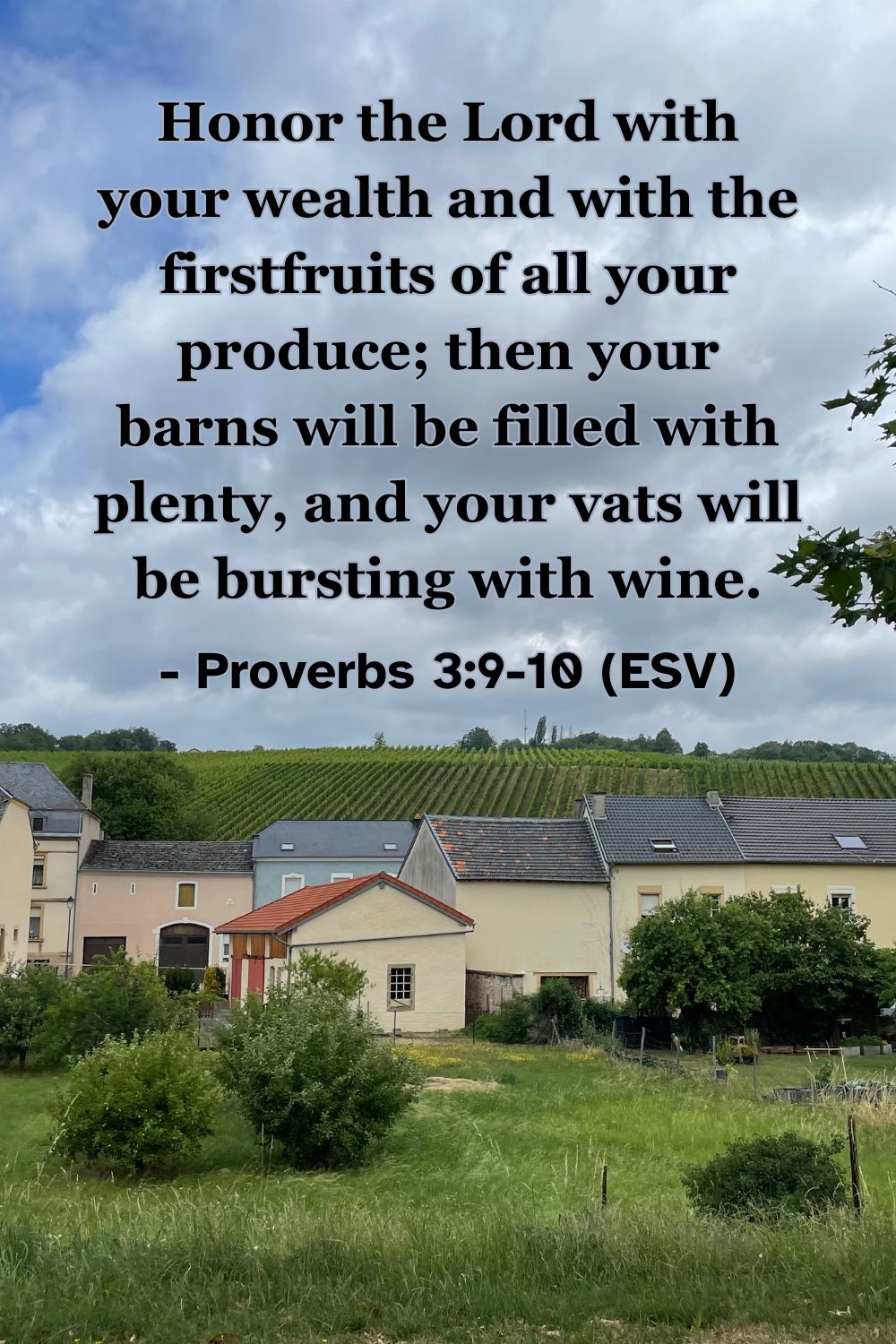 This Bible verse image features Proverbs 3:9-10 (ESV): “Honor the Lord with your wealth and with the firstfruits of all your produce; then your barns will be filled with plenty, and your vats will be bursting with wine.” A reminder of honoring God through faithful stewardship and trusting his provision.