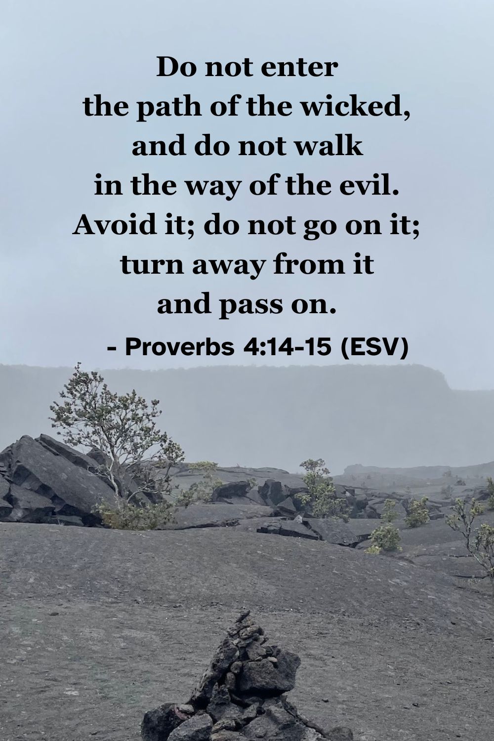 This Bible verse image features Proverbs 4:14-15 (ESV): “Do not enter the path of the wicked, and do not walk in the way of the evil. Avoid it; do not go on it; turn away from it and pass on.” A reminder to stay away from the path of evil.