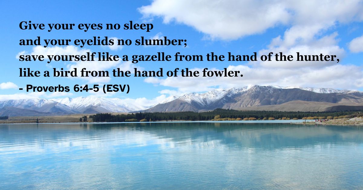 This Bible verse image features Proverbs 6:4-5 (ESV): “Give your eyes no sleep and your eyelids no slumber; save yourself like a gazelle from the hand of the hunter, like a bird from the hand of the fowler.” A reminder of the urgency required to escape foolish commitments.