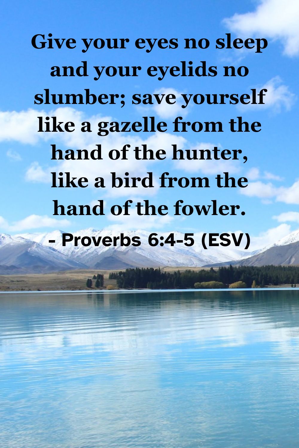 This Bible verse image features Proverbs 6:4-5 (ESV): “Give your eyes no sleep and your eyelids no slumber; save yourself like a gazelle from the hand of the hunter, like a bird from the hand of the fowler.” A reminder of the urgency required to escape foolish commitments.