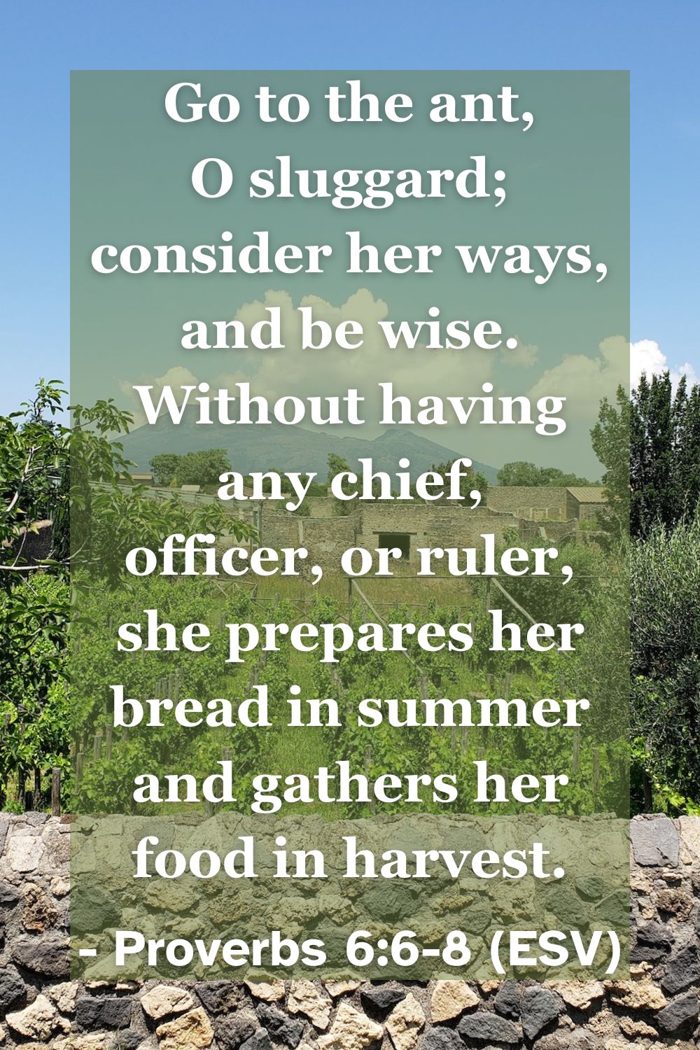 This Bible verse image features Proverbs 6:6-8 (ESV): “Go to the ant, O sluggard; consider her ways, and be wise. Without having any chief, officer, or ruler, she prepares her bread in summer and gathers her food in harvest.” A reminder of the wisdom found in diligence and self-motivation.