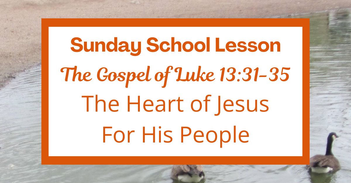 A Sunday School Lesson: Luke&nbsp;13:31-35