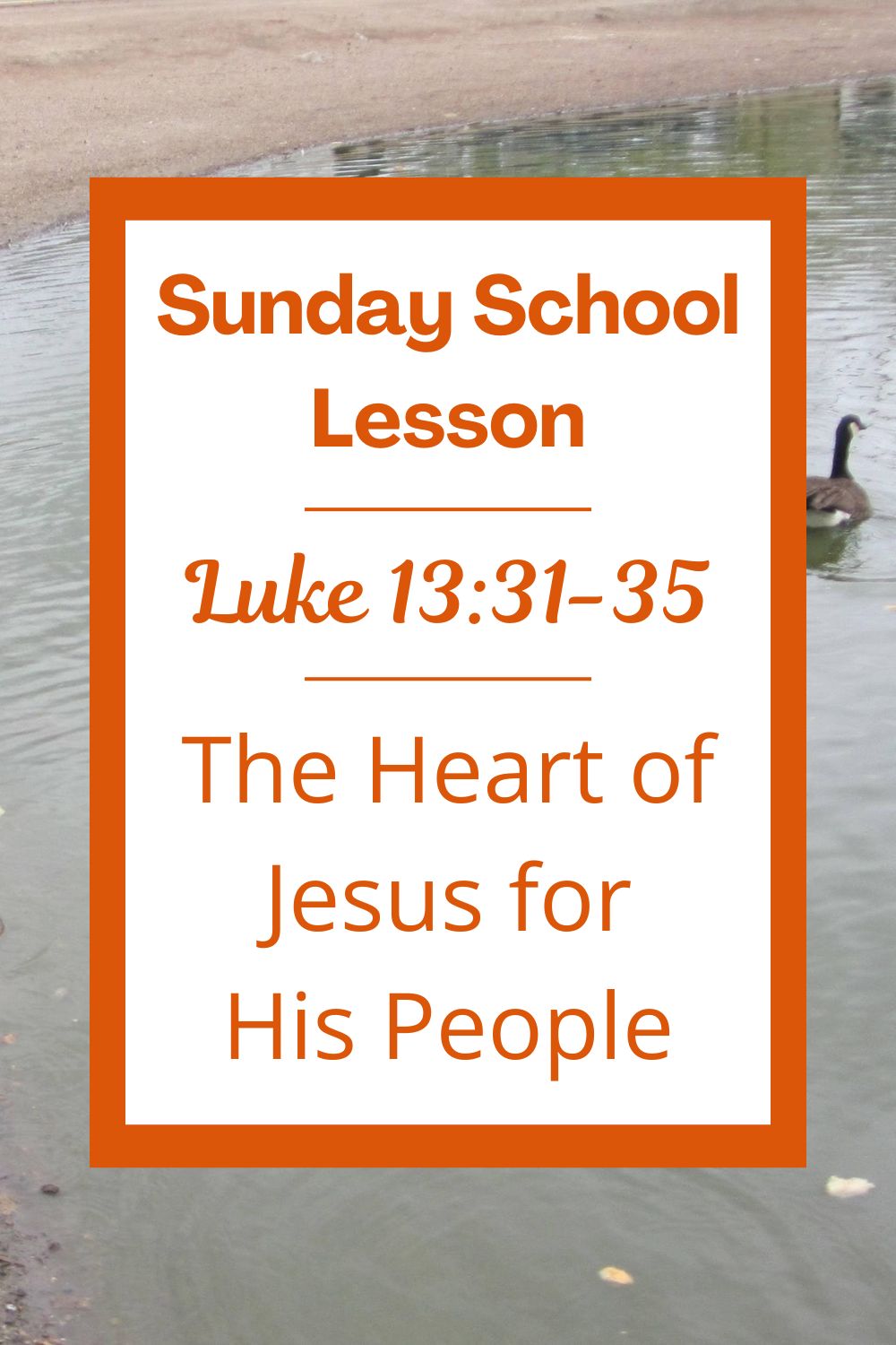 A Sunday School Lesson: Luke 13:31-35: The Heart of Jesus for His People